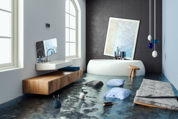 Best Water damage cleanup near me  in Dacula, GA