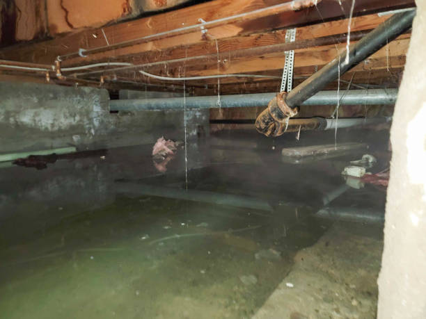 Best 24-hour water damage restoration  in Dacula, GA
