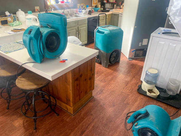 Best Sewage cleanup and water damage restoration  in Dacula, GA