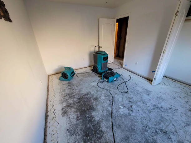Best Water damage contractors near me  in Dacula, GA