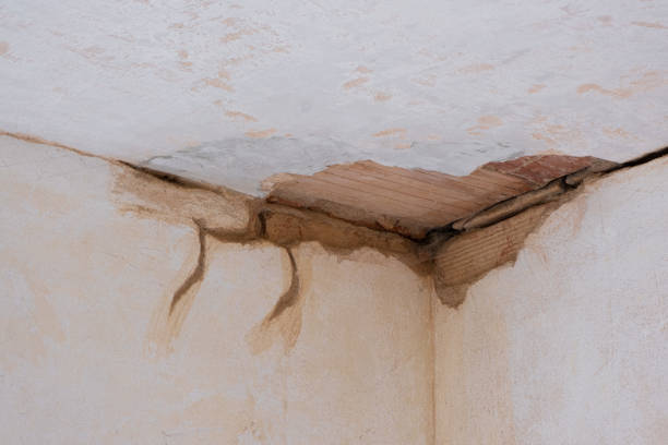 Best Flood restoration services  in Dacula, GA