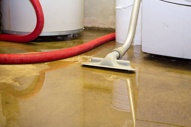 Best Professional water damage repair  in Dacula, GA