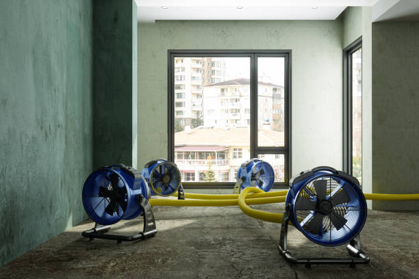 Best Local water damage restoration  in Dacula, GA